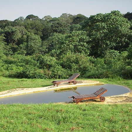 城堡森林小木屋 Mount Kenya National Park 外观 照片