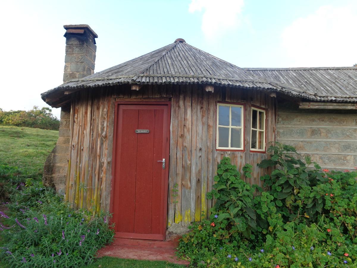 城堡森林小木屋 Mount Kenya National Park 外观 照片