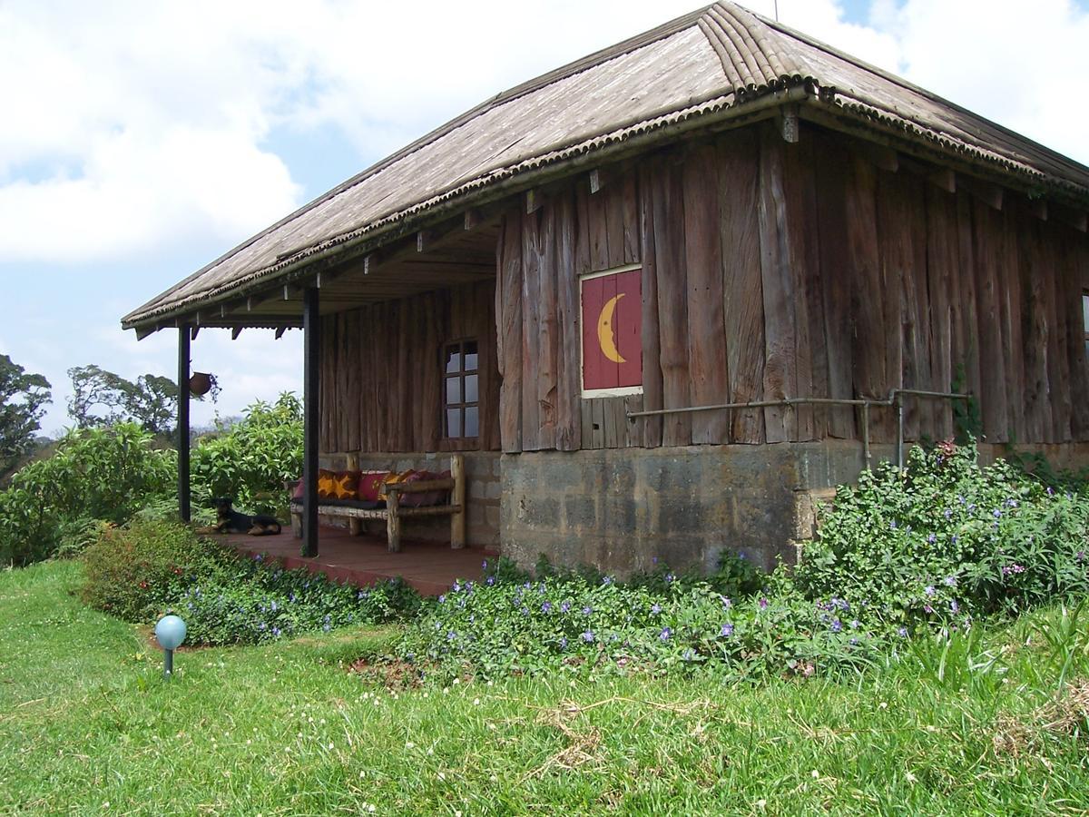 城堡森林小木屋 Mount Kenya National Park 外观 照片