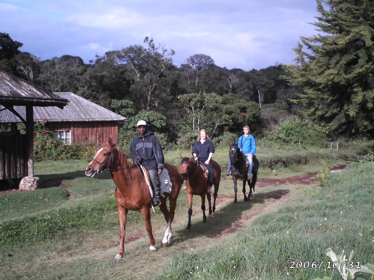 城堡森林小木屋 Mount Kenya National Park 外观 照片