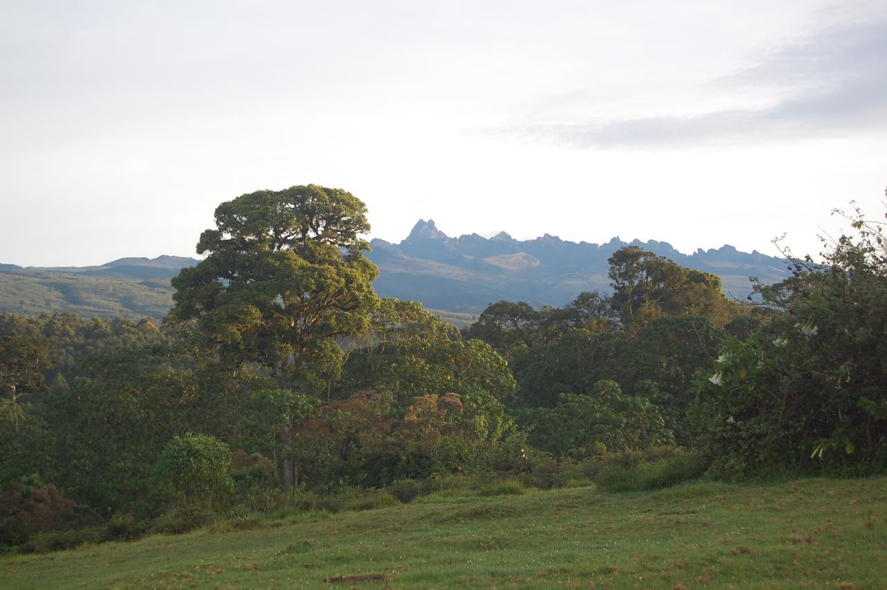 城堡森林小木屋 Mount Kenya National Park 外观 照片