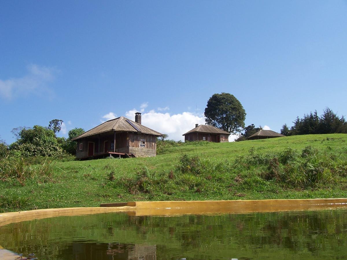 城堡森林小木屋 Mount Kenya National Park 外观 照片