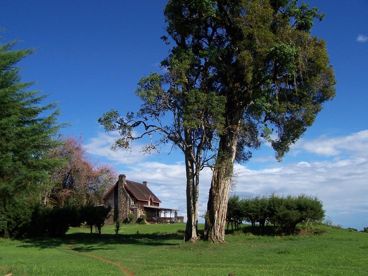 城堡森林小木屋 Mount Kenya National Park 外观 照片