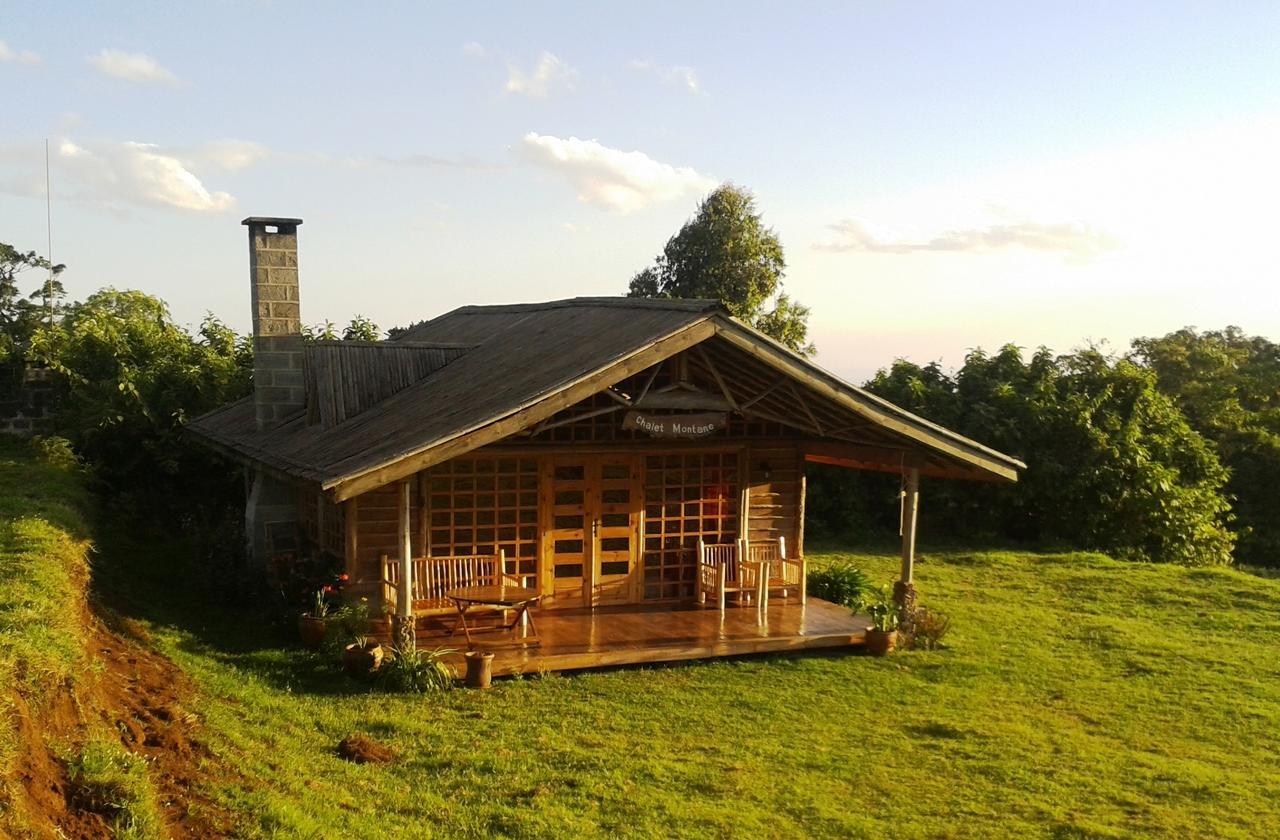 城堡森林小木屋 Mount Kenya National Park 外观 照片