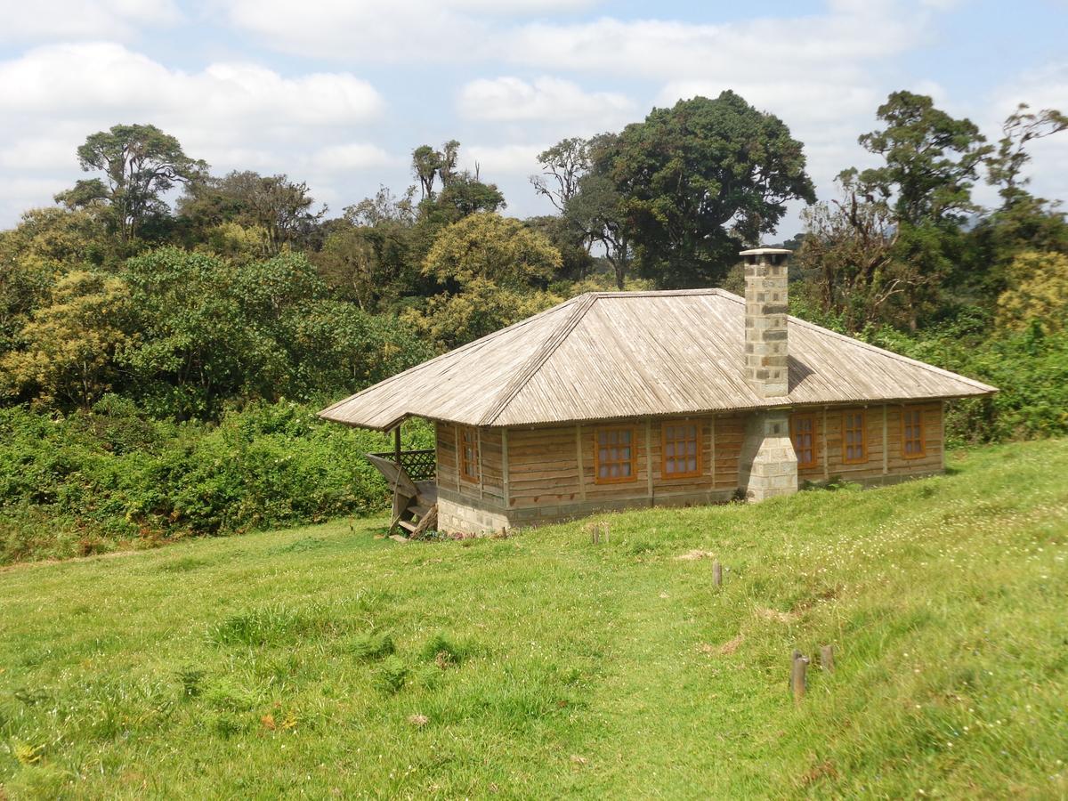 城堡森林小木屋 Mount Kenya National Park 外观 照片