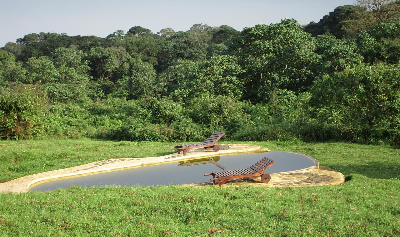 城堡森林小木屋 Mount Kenya National Park 外观 照片