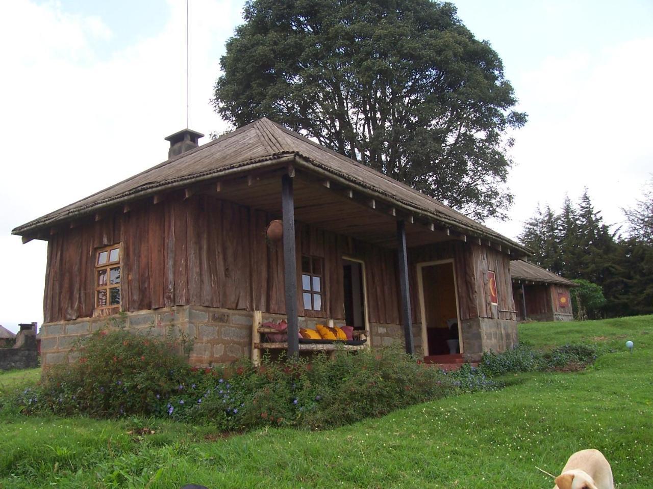 城堡森林小木屋 Mount Kenya National Park 外观 照片